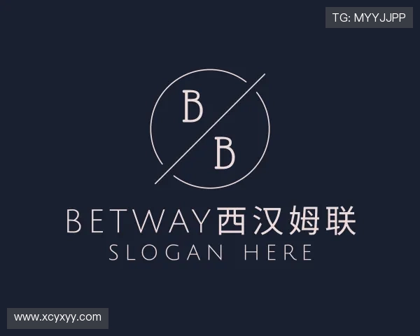 关于betway西汉姆联
