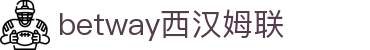 BWTWAY·必威(西汉姆联)官方网站